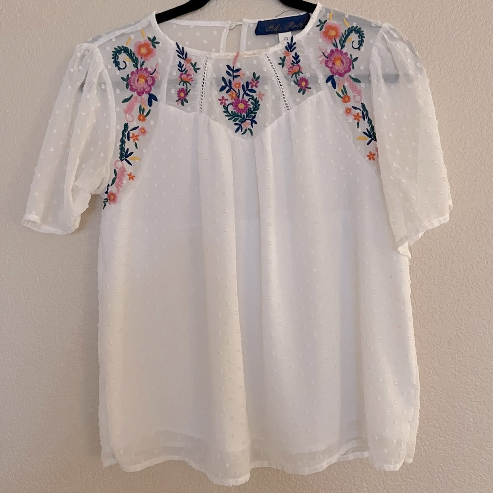 Francesca’s Blue Rain Floral Embroidered Swiss Dot Blouse